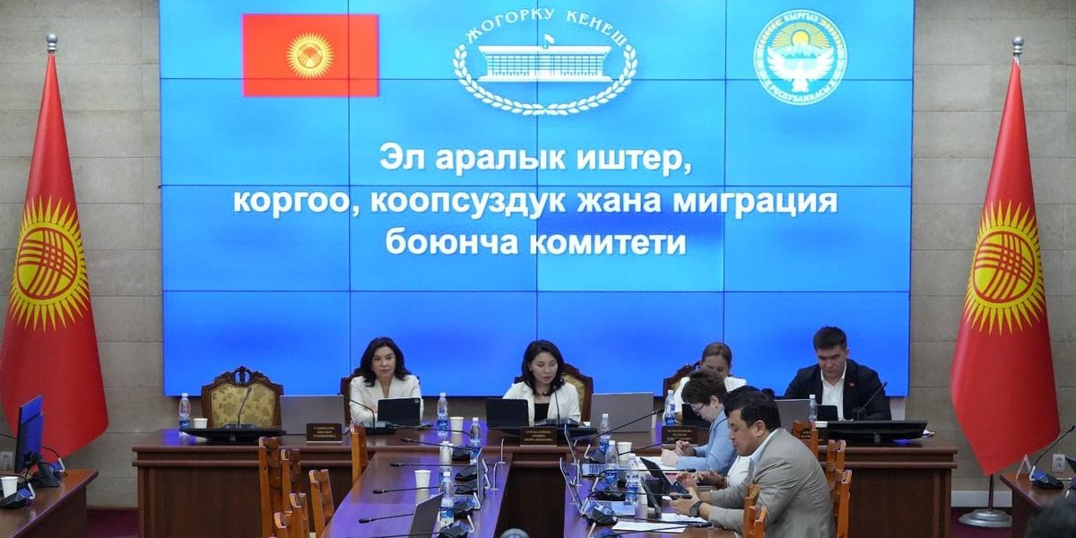 Правила въезда в РФ, безвиз с Ганой и торговля с Индонезией: комитет ЖК одобрил три проекта