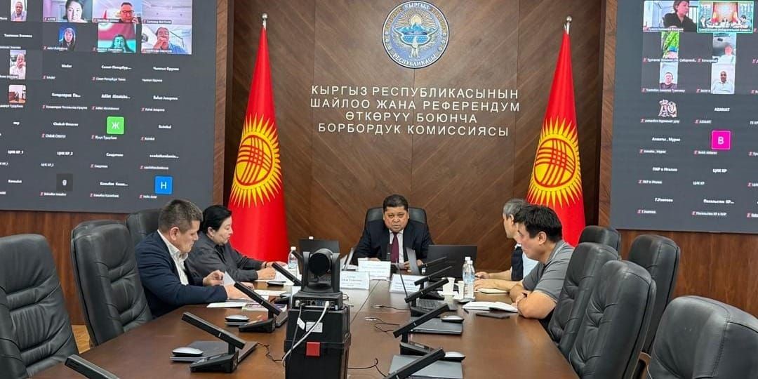 Онлайн-встреча ЦИК с представителями кыргызских диаспор по выборам