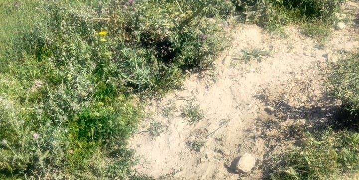 В Баткенской области выявили незаконное строительство на пастбищной земле