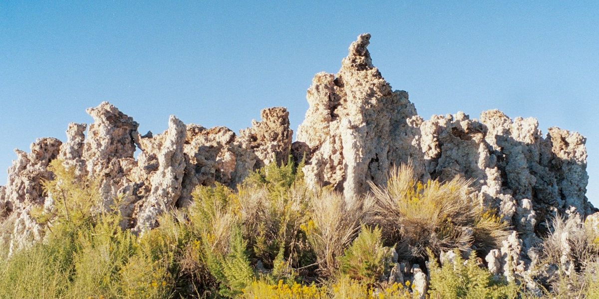 В КР предложили продлить запрет на экспорт необработанного известняка-ракушечника