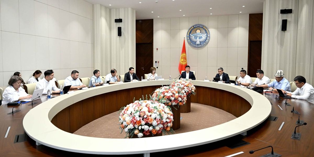 На «Бала ырысы» направили 235.8 млн сомов: кабмин КР подвел первые итоги выплат