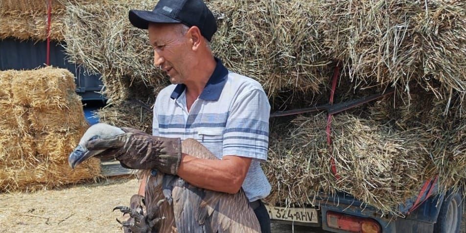 В Ноокатском районе нашли и выпустили на волю краснокнижного кумая