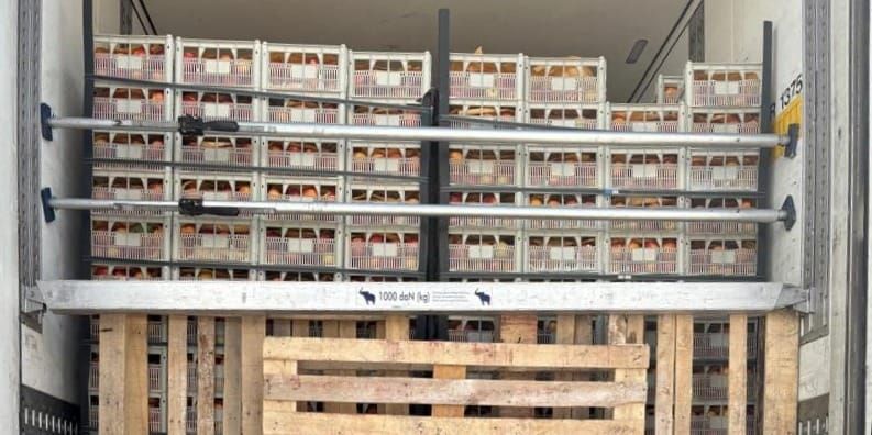 В Кыргызстан не пустили 22 тонны нектаринов из Ирана
