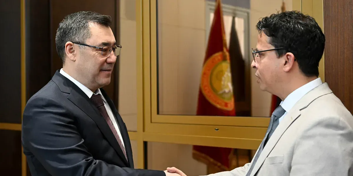 «Мелкие политические вопросы не должны влиять на отношения с Европой» – Садыр Жапаров принял делегацию Европарламента