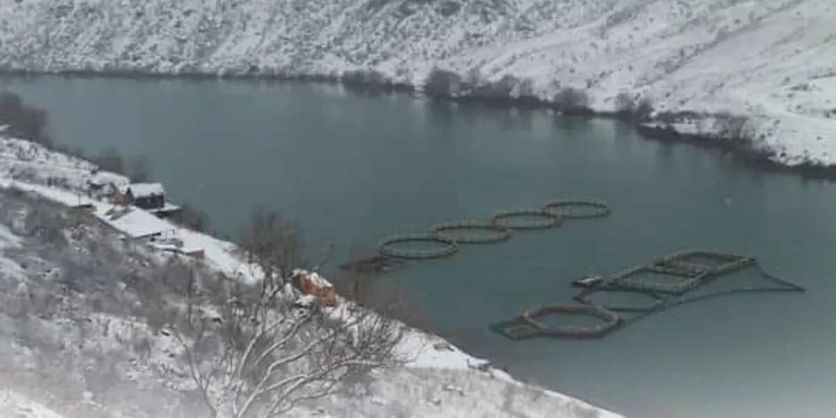 Рыбному хозяйству незаконо предоставили землю в водоохранной зоне Курпсайского водохранилища – Генпрокуратура
