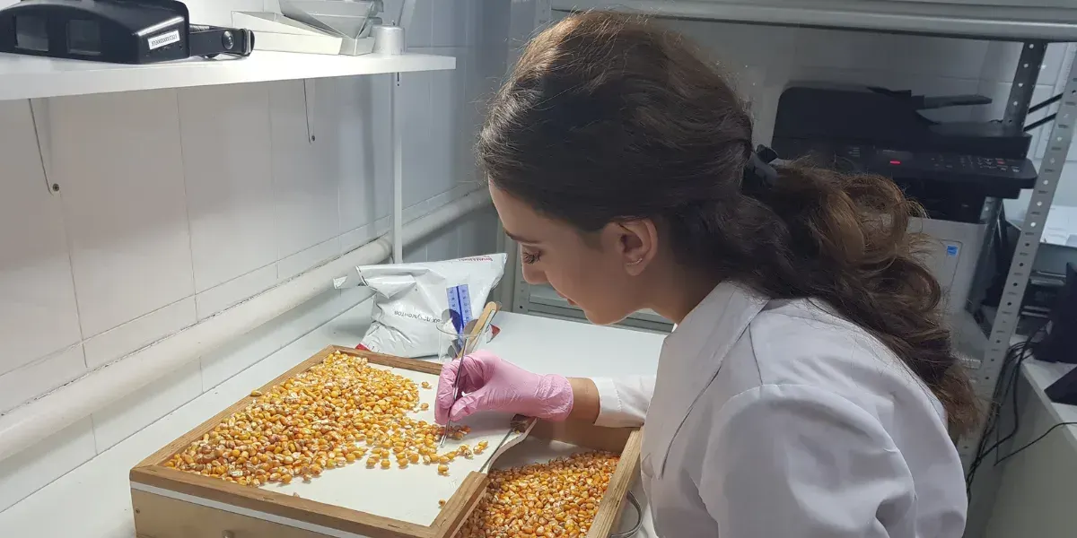 За год в Кыргызстане выявлено 16 видов карантинных вредителей сельхозпродукции