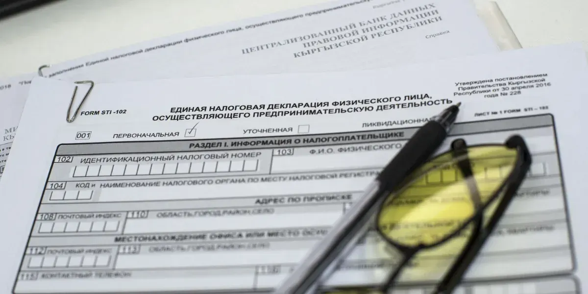 В Кыргызстане начался прием единой налоговой декларации за 2024 год – кто может ее не сдавать?