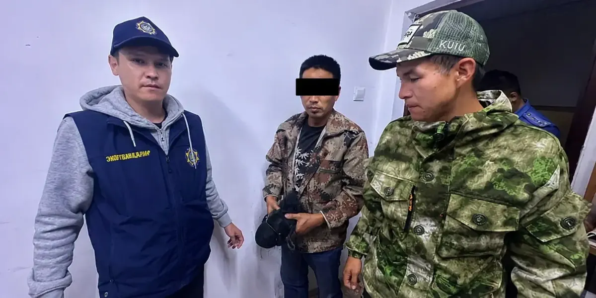В Нарыне оштрафовали иностранца за незаконную ловлю птиц сетями