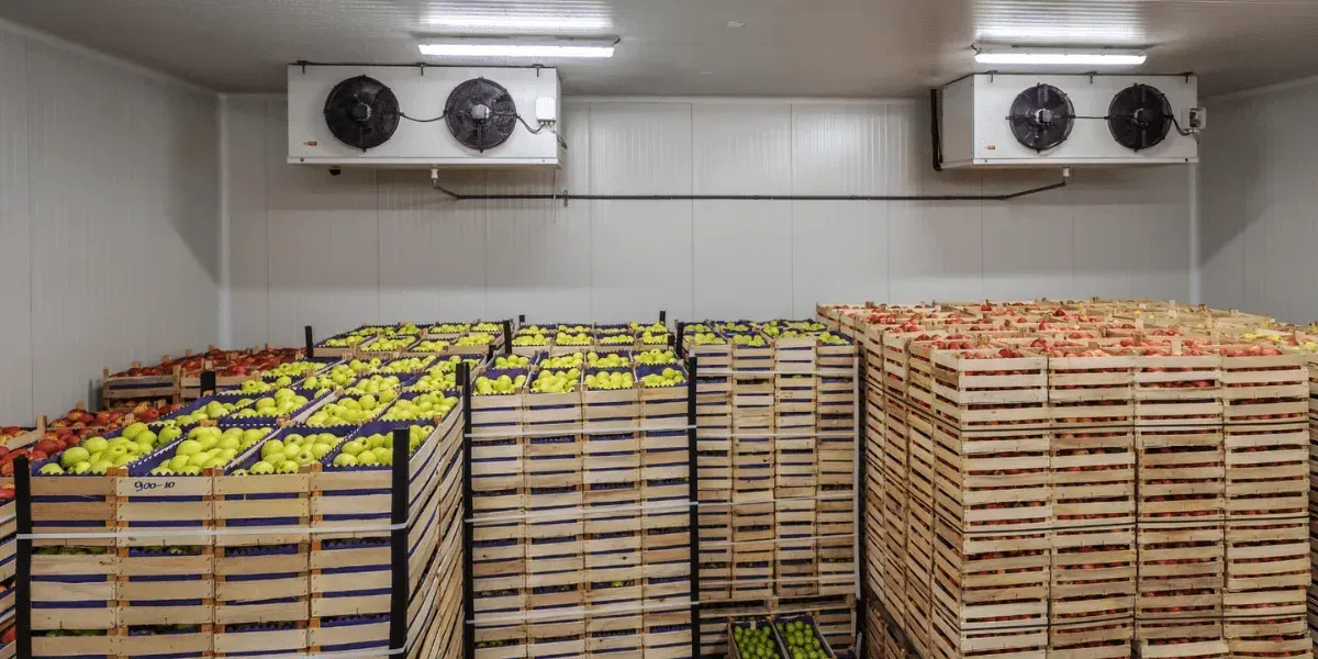 Госкомпаниям КР планируют разрешить прямые закупки базовых продуктов питания
