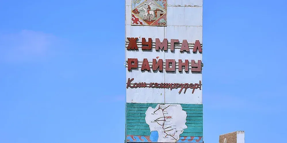 В Жумгале незаконно отдали в аренду на 49 лет более 104 гектаров леса