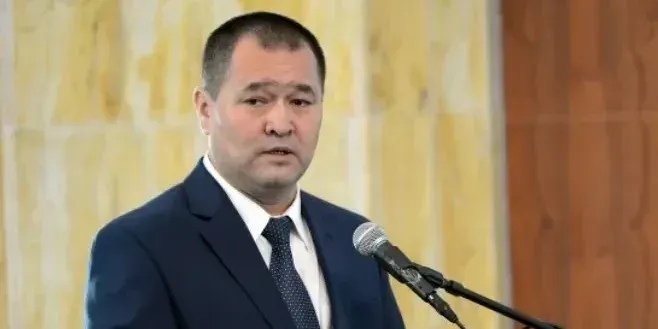 Рустам Мамасадыков освобожден от должности секретаря Совбеза КР