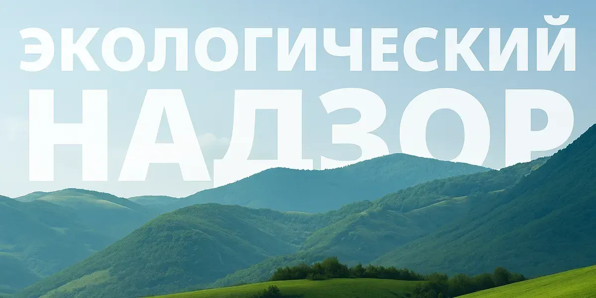 Экологический надзор Минприроды