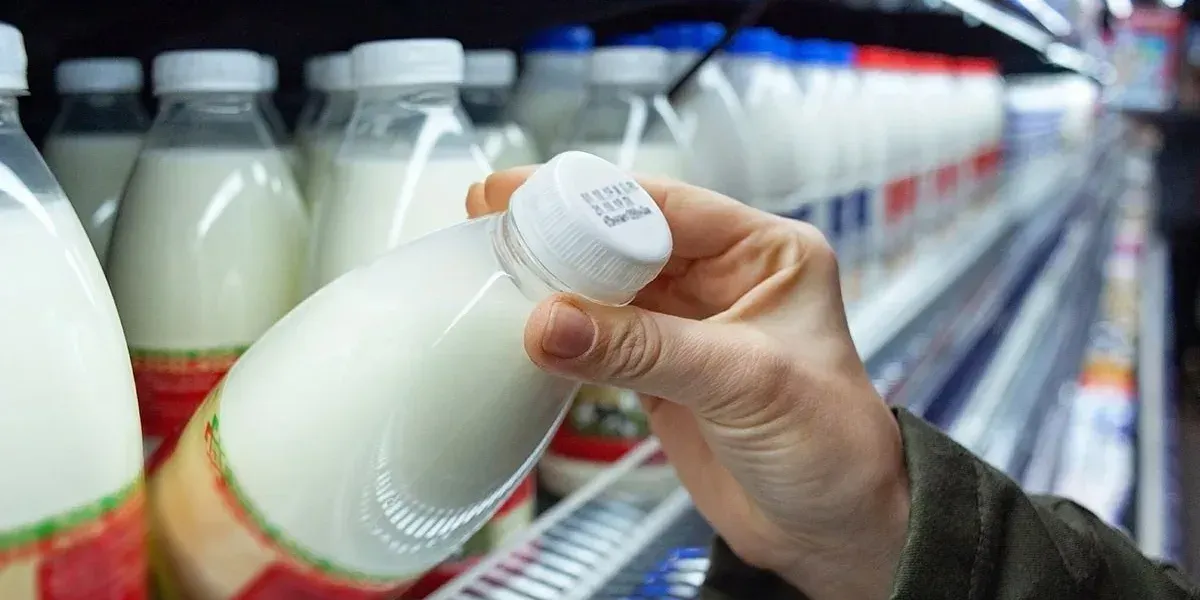 В РФ по поддельным ветеринарным сертификатам завезли молочную продукцию из КР