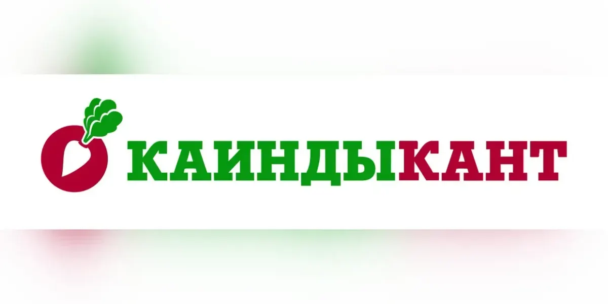 Чистая прибыль «Каинды-Кант» во II квартале 2025 года достигла 135.9 млн сомов