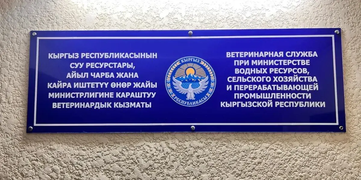 117 скотобоен, 43 рынка, 37 пунктов пропуска: Ветслужба подвела итоги работы за первое полугодие