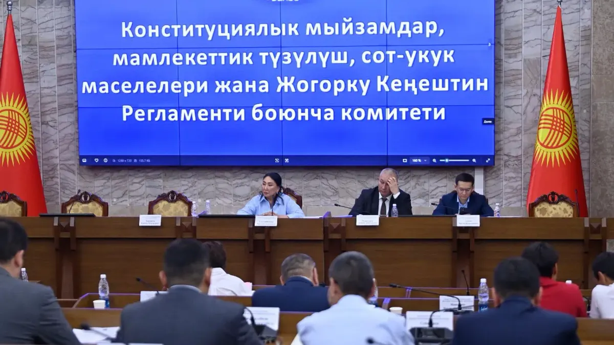 Заседание профильного комитета Жогорку Кенеша. Фото: kenesh.kg.
