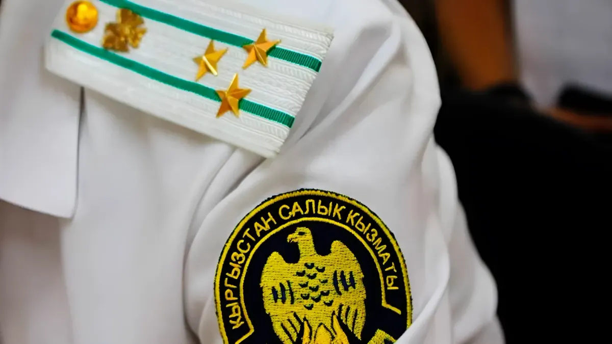 Обещает льготы, но прощать серые схемы не будет — Налоговая обратилась к бизнесу КР