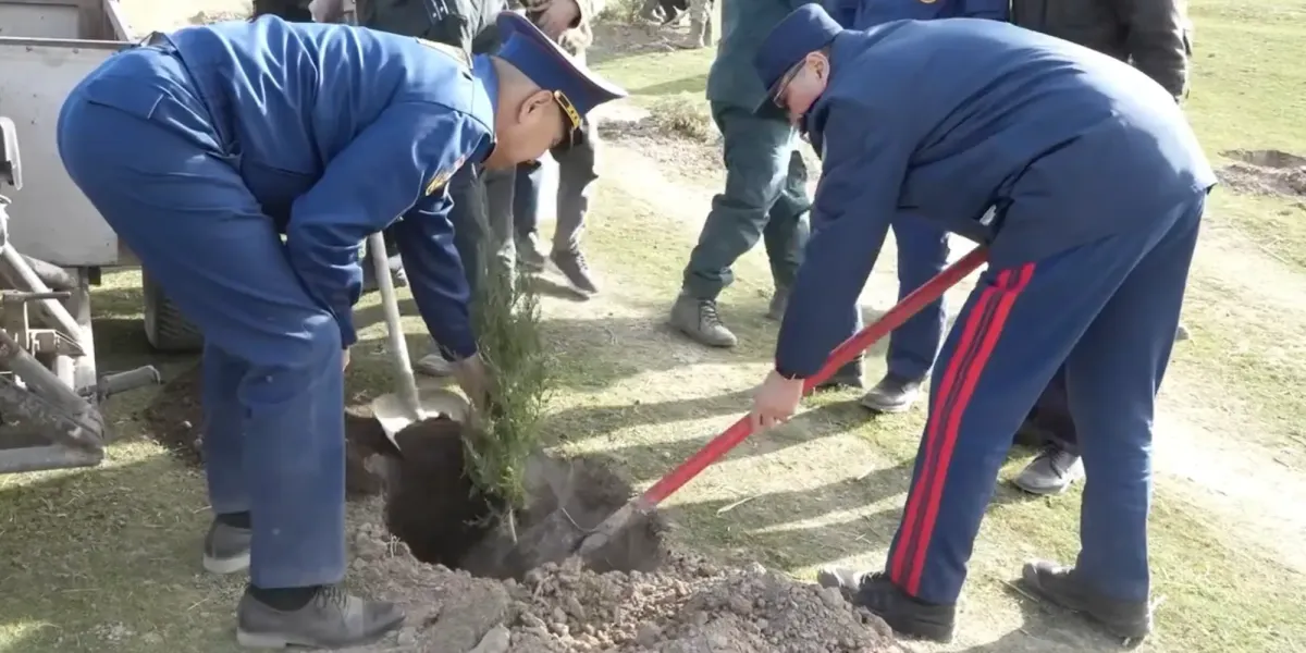 В Джалал-Абаде высаживают 40 тысяч саженцев на площади в 100 га