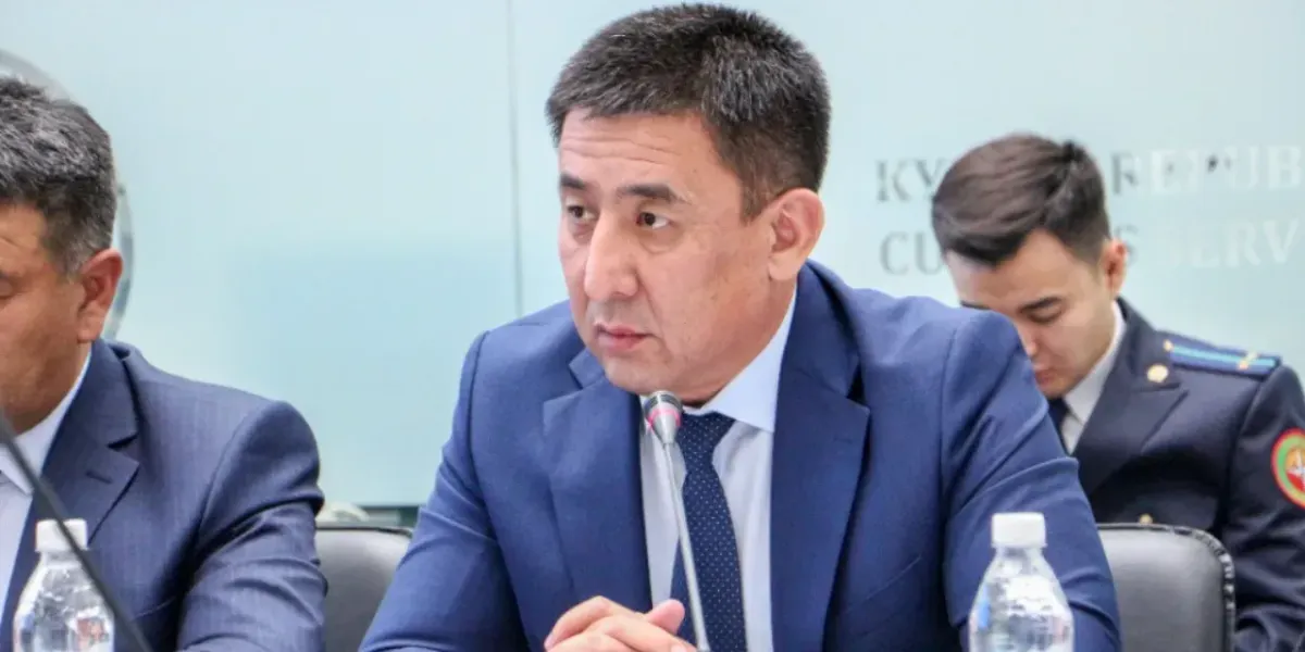 Президент сделал замечания главе Таможенной службы и его подчиненным
