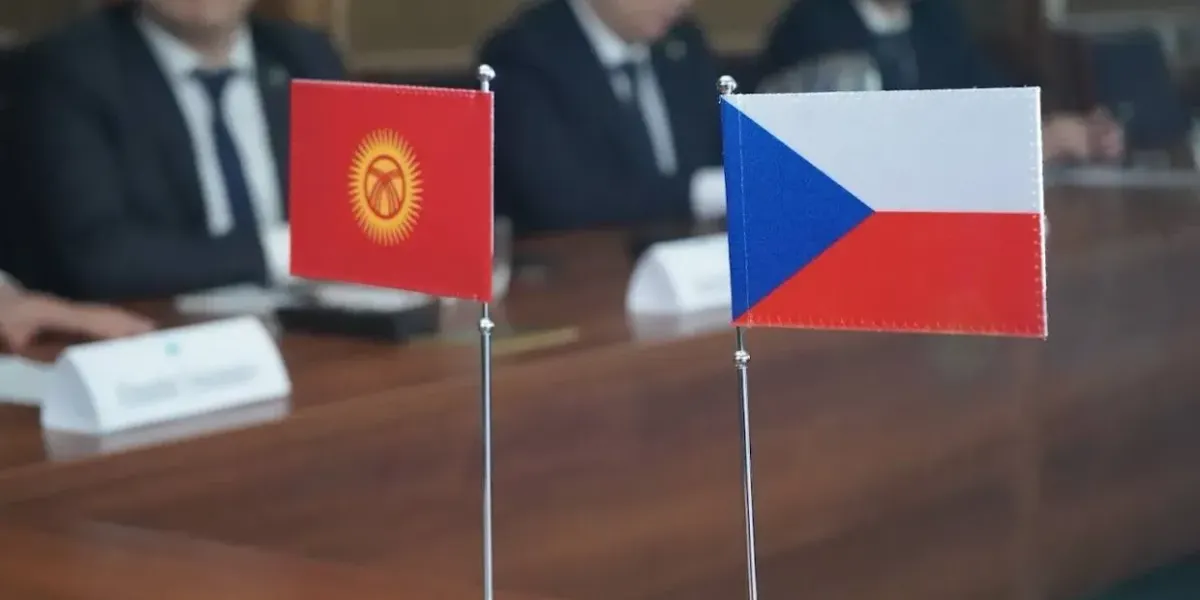 Кыргызстан намерен применить опыт Эстонии и Чехии для цифровизации налоговой системы