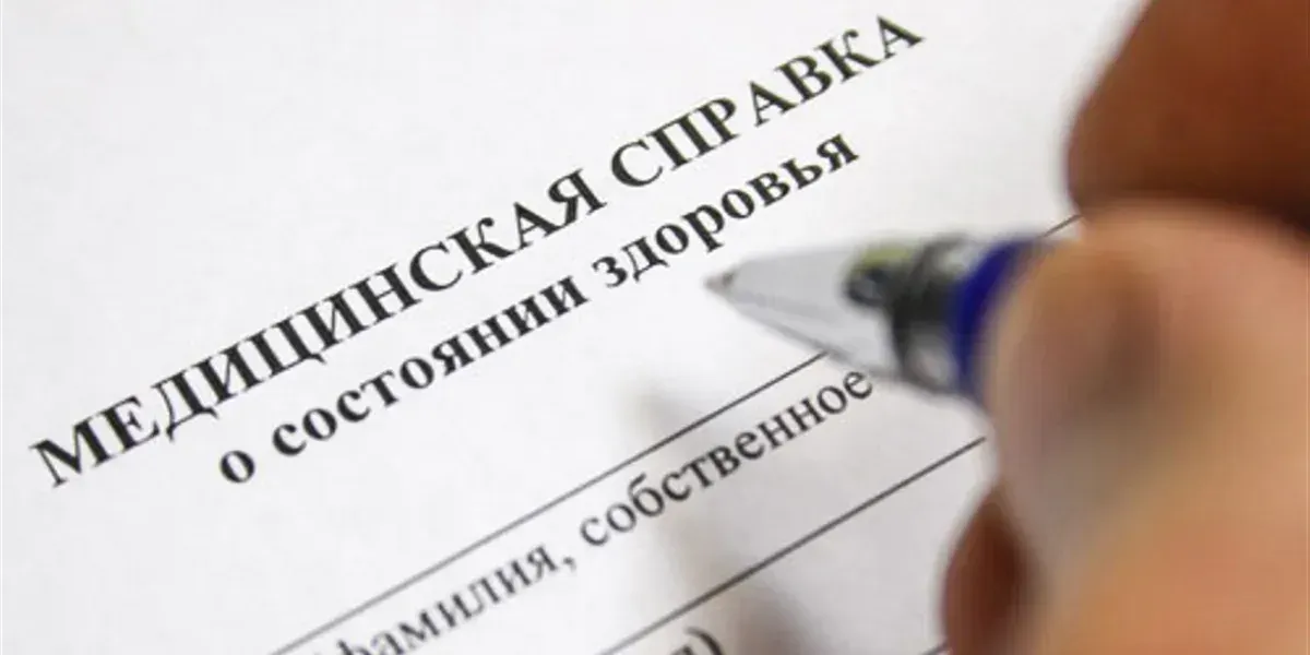 В КР получить медсправку для водительских прав станет проще – процедуру автоматизируют
