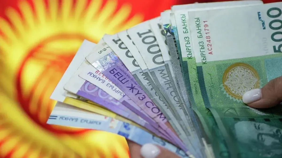 Сборы налогов и страховых взносов в Кыргызстане выросли на 44.5 млрд сомов – Налоговая служба