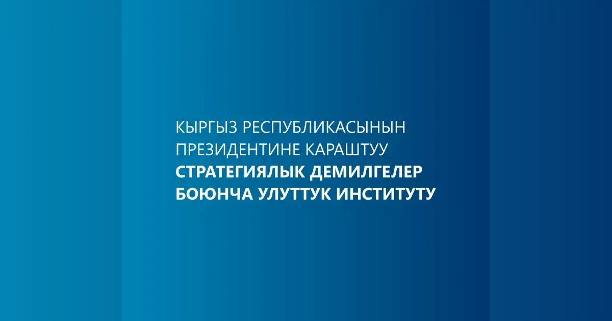 В Нацинституте стратегических инициатив при президенте выявили нарушения на 1.5 млн сомов