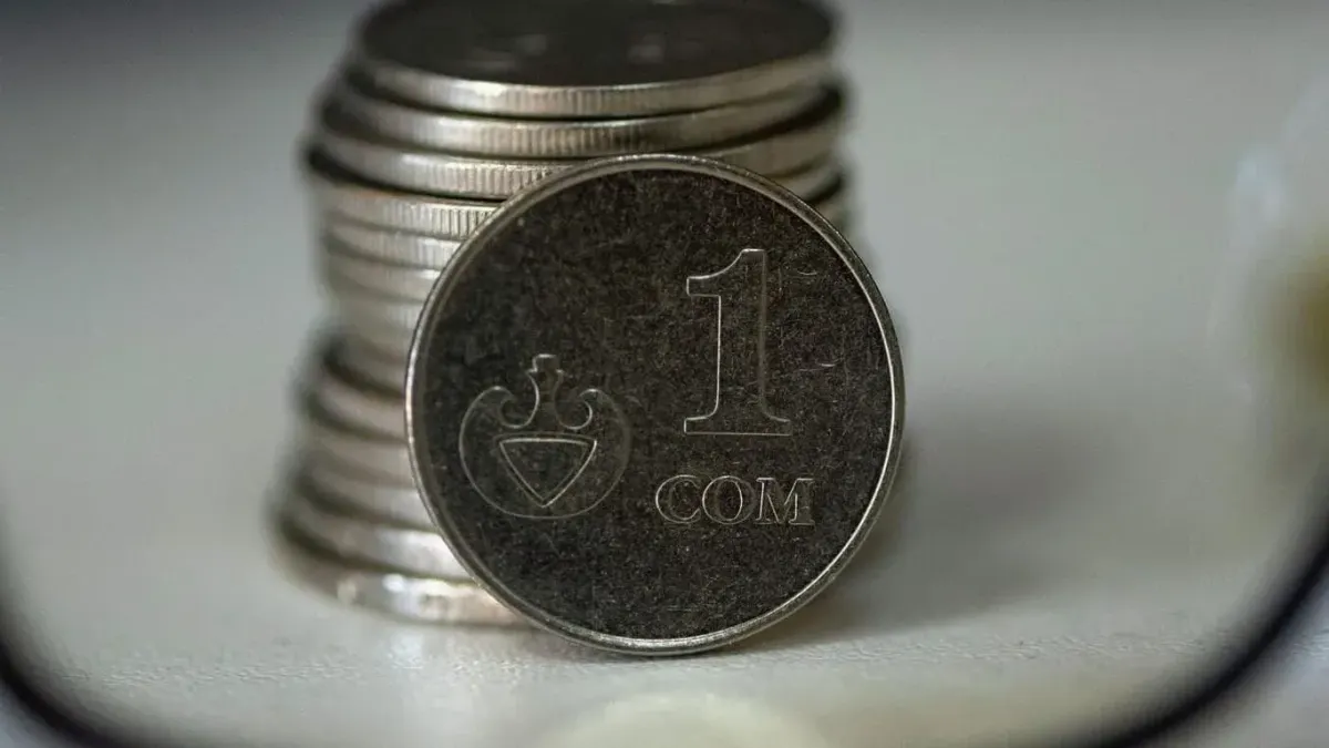 Все основные валюты подешевели к сому – курс НБ КР на 30 августа