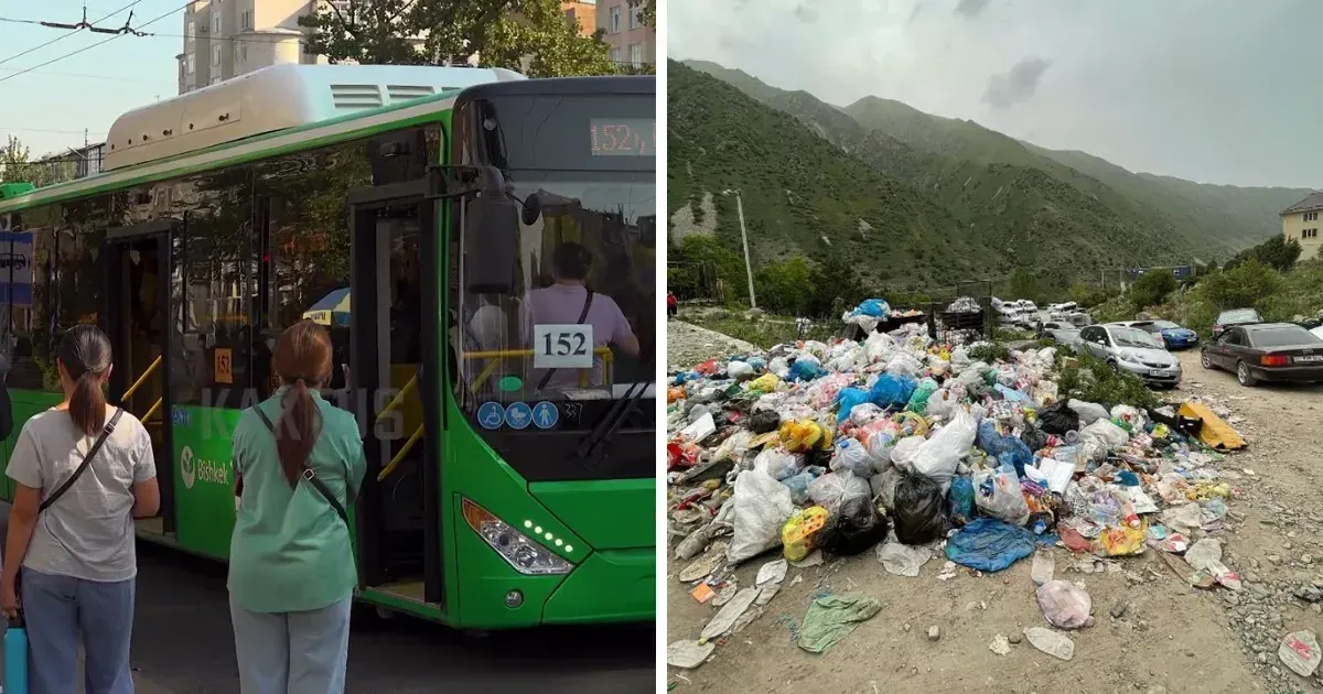 В КР ужесточат ответственность за складирование мусора, неуплату проезда и ряд других нарушений