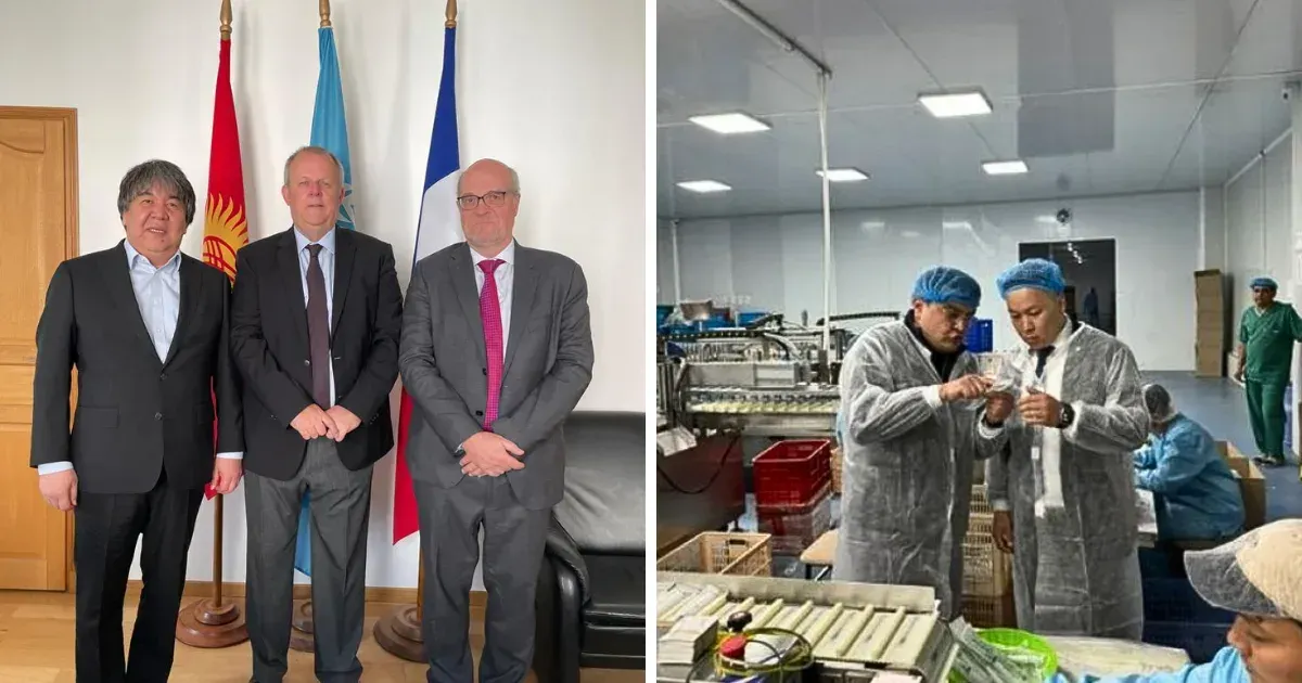 Кыргызстан развивает сотрудничество в сфере медицины с компаниями из Франции и Узбекистана