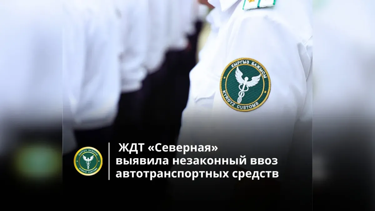 Кыргызстанец незаконно ввез автомобили в страну — ущерб оценили в 8.3 млн сомов