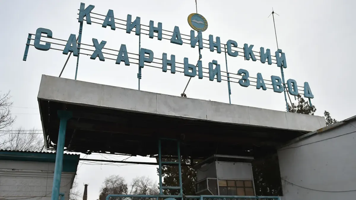 "Каинды-Кант" по итогам 2022 года выплатил 174.5 млн сомов дивидентов