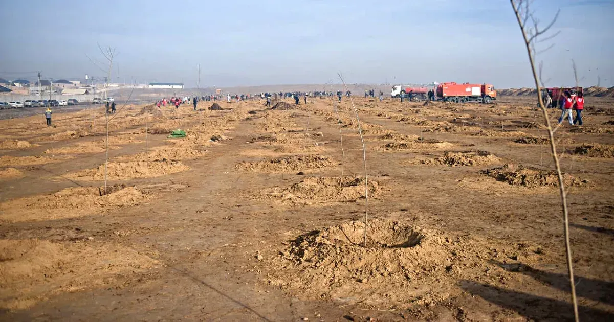 На потушенном мусорном полигоне создадут лесополосу из 850 деревьев – фото