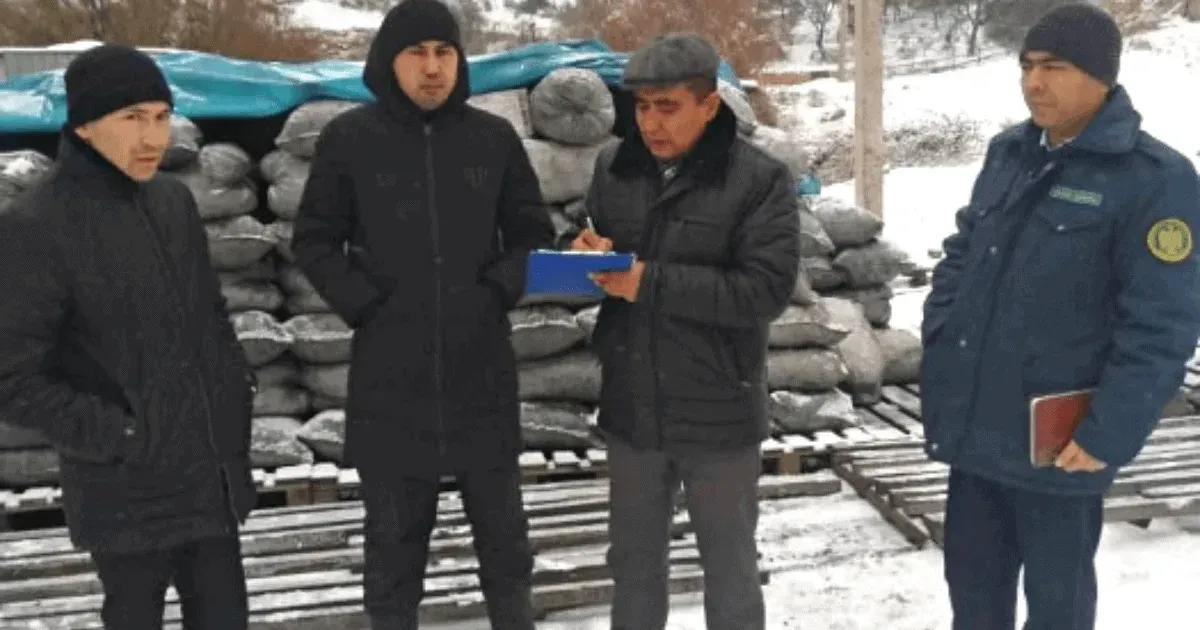 В Нарыне и Баткене провели мониторинг цен на уголь