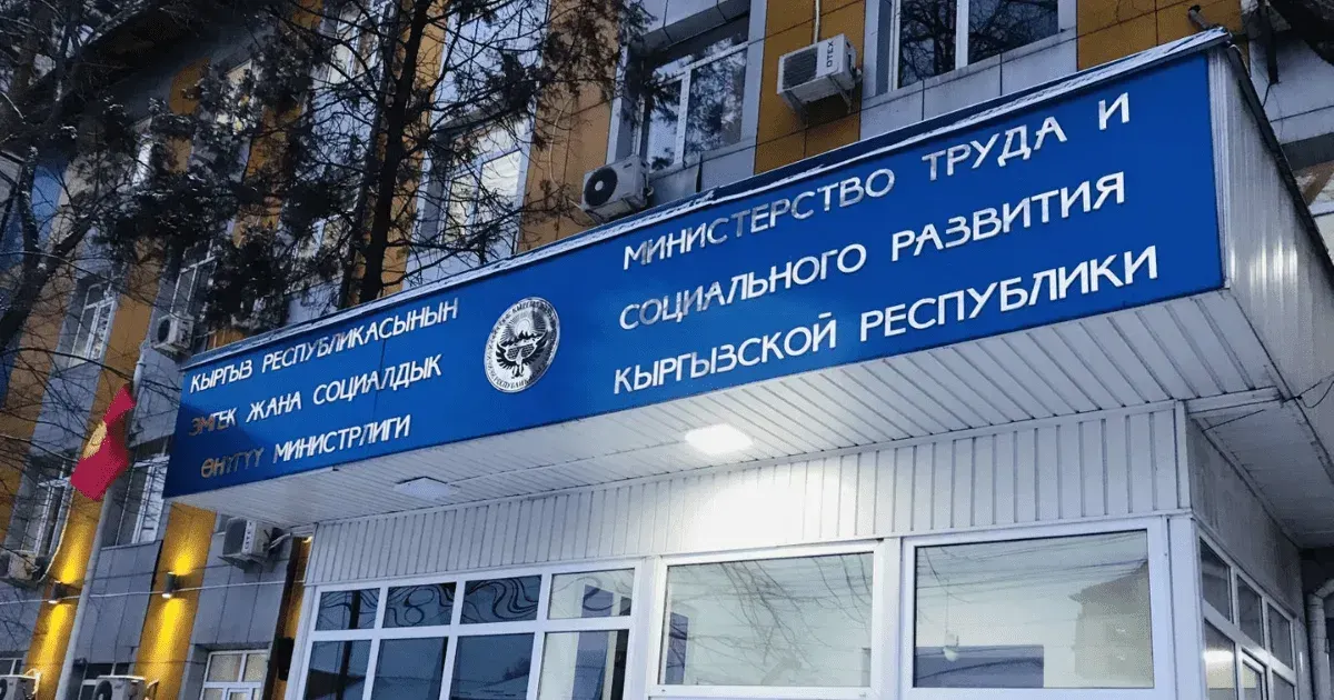 Аудит в Минсоцтруда выявил нарушения при закупке инвалидных колясок и путевок для ЛОВЗ
