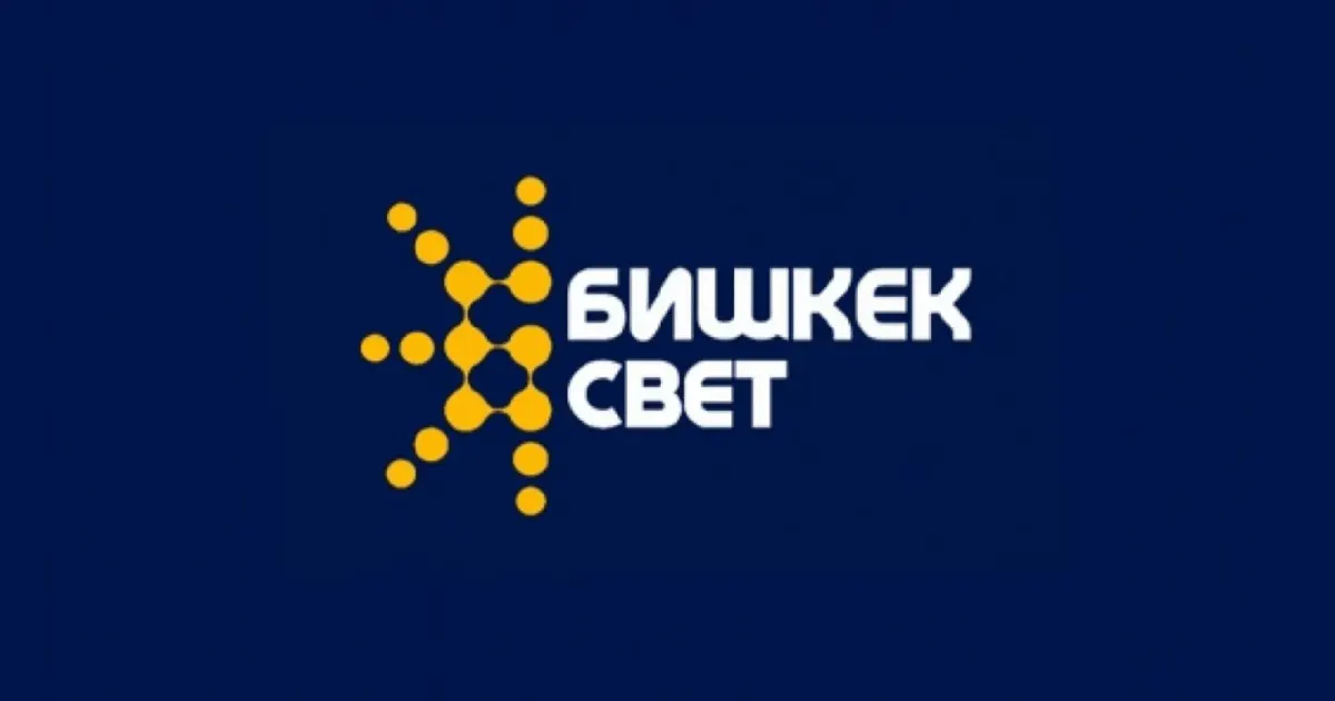 В «Бишкексвете» выявили недостачу на 74 млн сомов