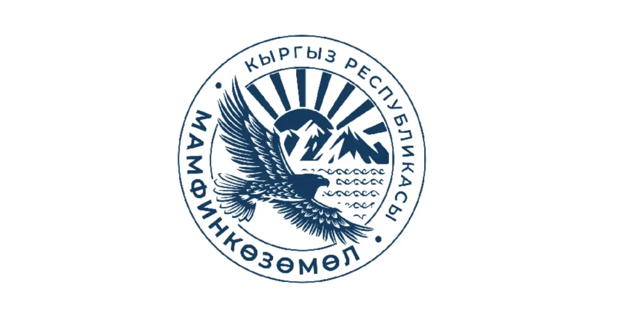 Госфиннадзору поручено выбрать модель будущего мегарегулятора финансового рынка