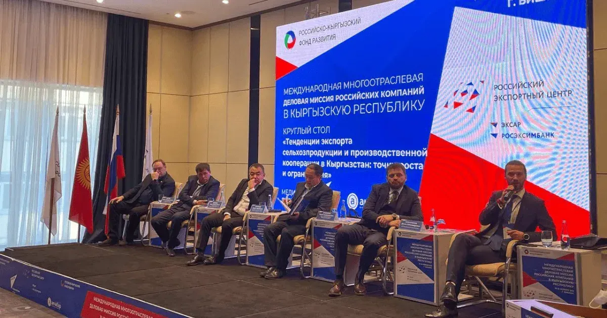 Экспорт товаров из Кыргызстана в Россию вырос до 20% за пять лет