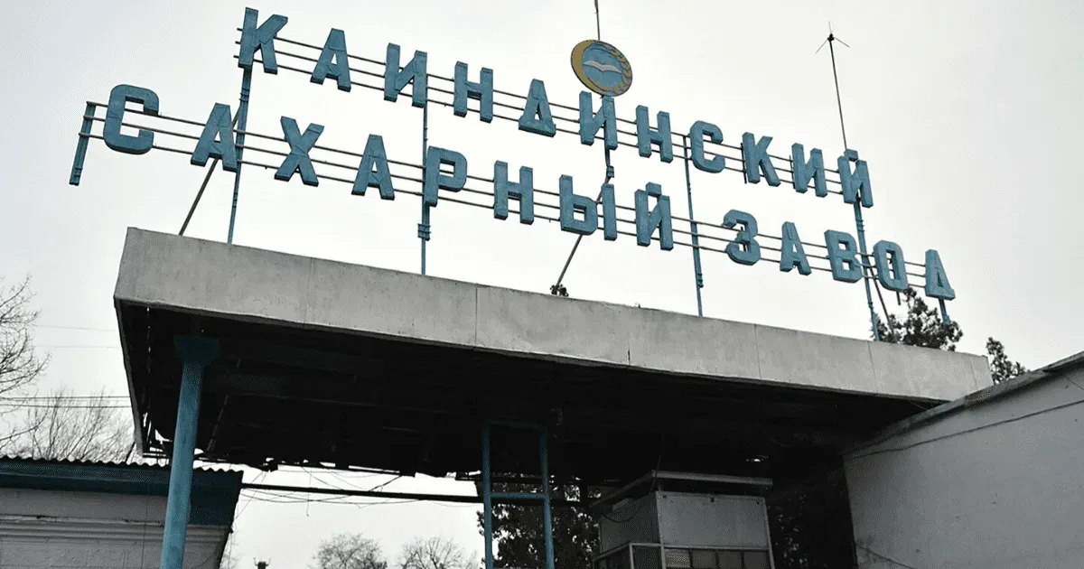 Завод «Каинды Кант» усилил позиции на рынке сахара — анализ
