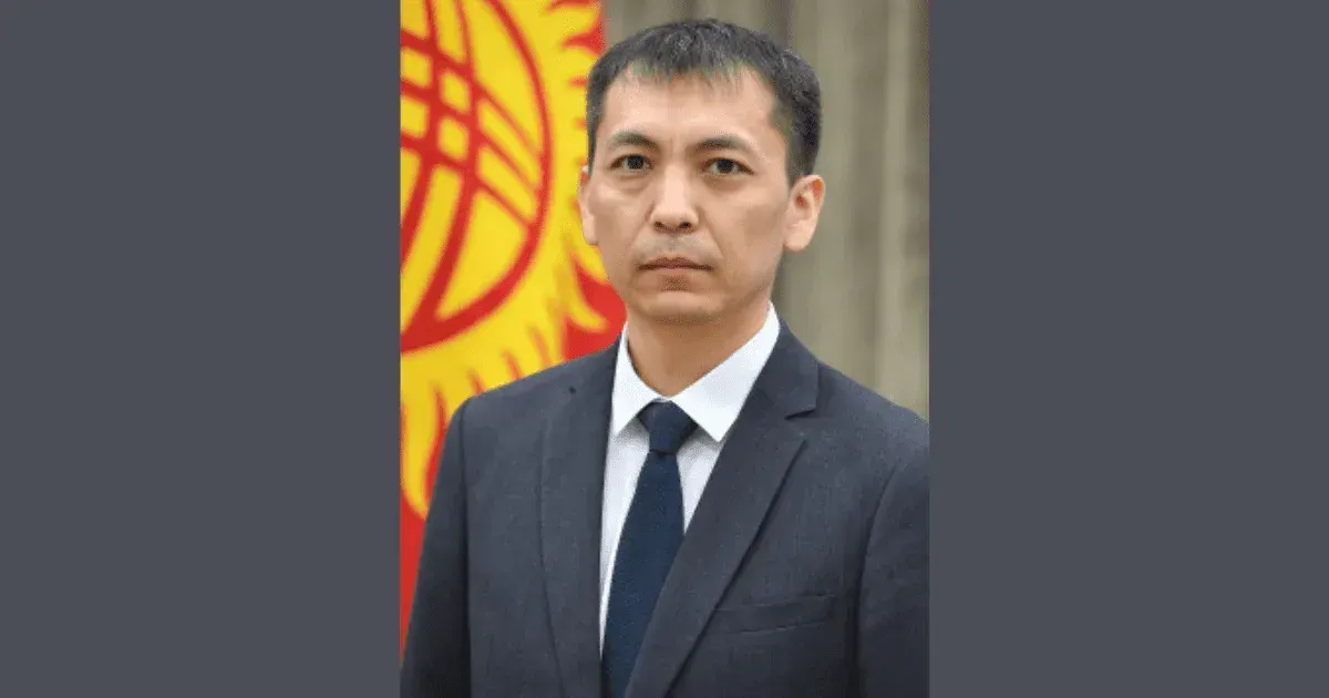 Зампредседателя Налоговой службы назначен Адилет Дубанаев