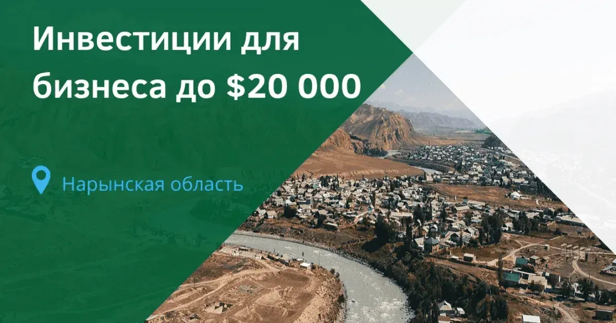 Нарынские компании могут получить до $20 тысяч инвестиций от Фонда Ага-Хана
