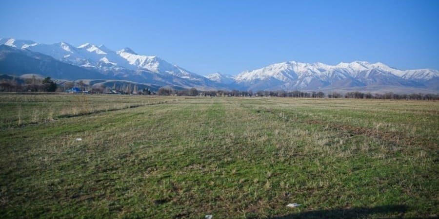В Аламудунском районе 7.17 га лесфонда отдадут под логистический комплекс