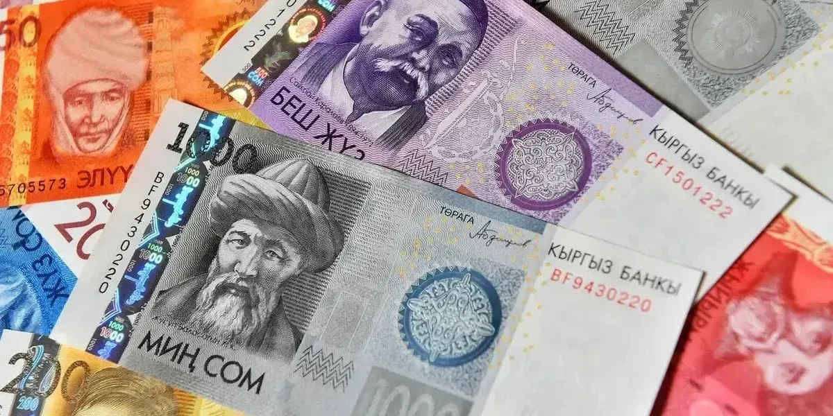 Соцфонд вложил 15.1 млрд сомов из ГНПФ — доход превысил 5 млрд