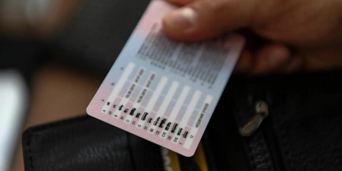 Управделами КР предлагает ввести временные права и отказаться от лицензирования автошкол