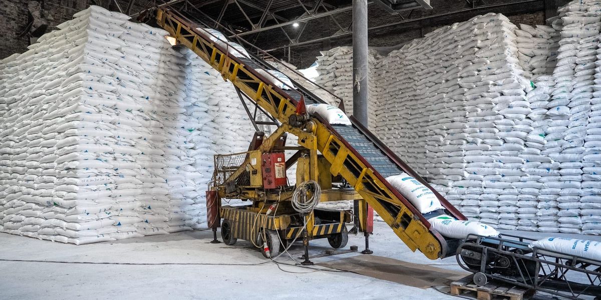 Завод «Кошой»: как сахарная свекла превращается в стратегический продукт
