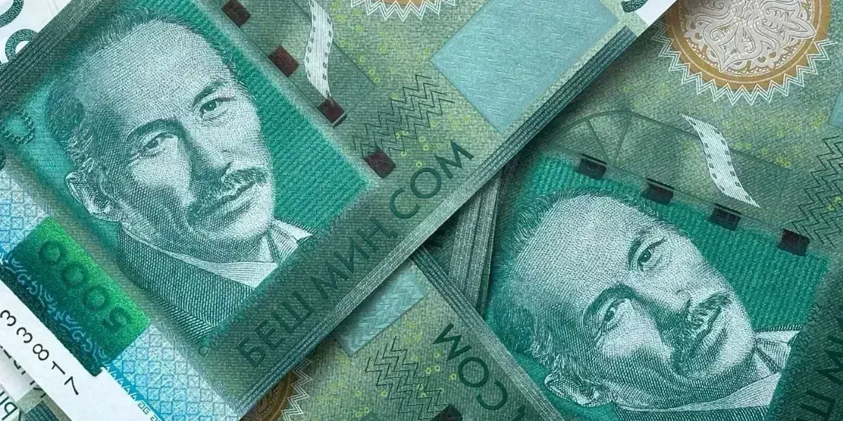 В Кыргызстане в 2025 году в 14 из 18 отраслей МСП средняя зарплата не достигла 40 тысяч сомов