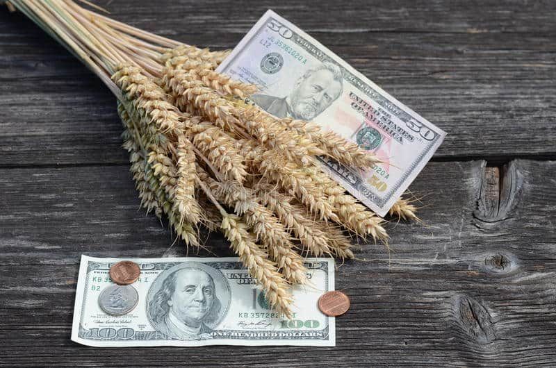 Исламский банк развития даст $20 млн на развитие земледелия в Иссык-Кульской и Нарынской областях