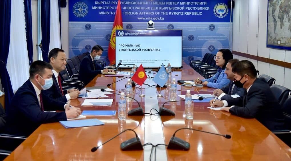 ФАО инвестирует $50 млн в леса и пастбища Кыргызстана