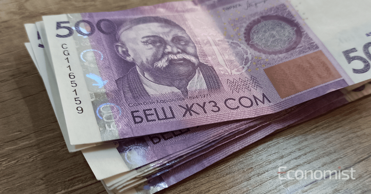 Число кыргызстанцев, взявших микрокредиты, увеличилось на 13%