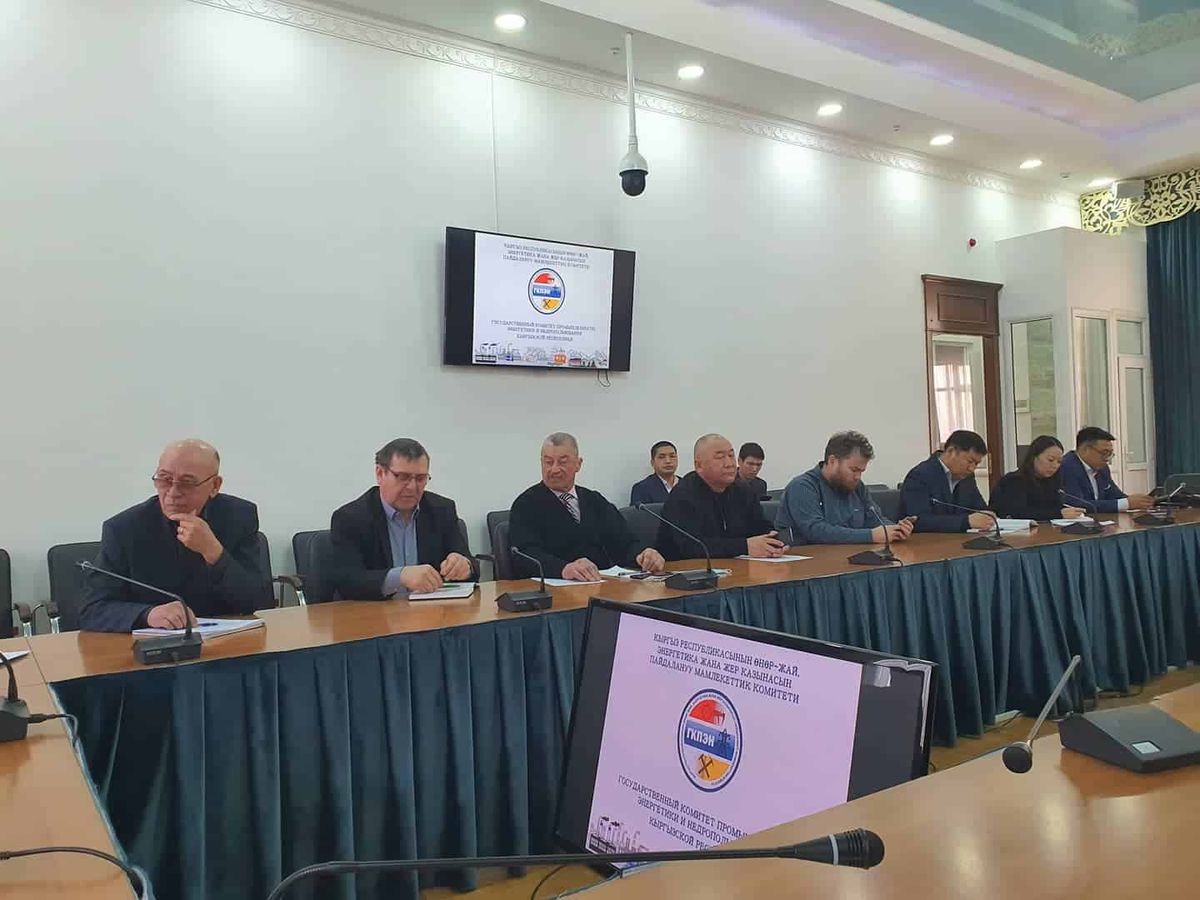 Недропользователи предлагают создать Национальное агентство природных ресурсов